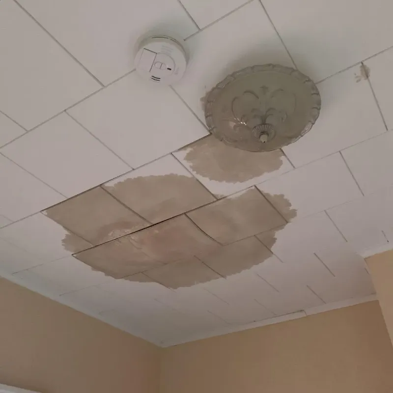 Ceiling Water Damage Repair in Muskegon Heights, MI