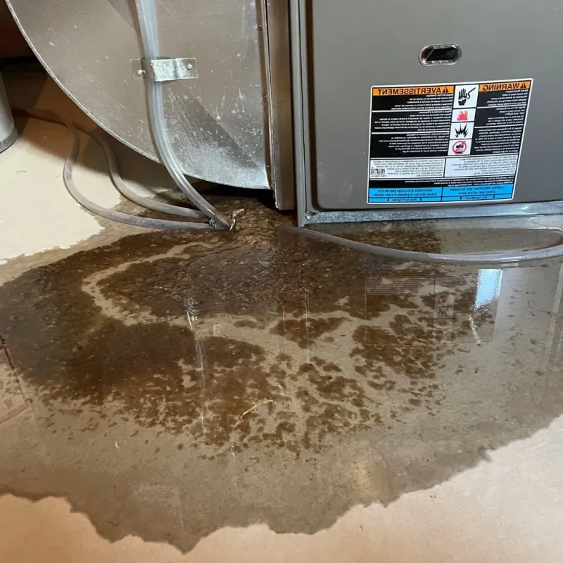 Pipe Burst and Leak Restoration in Muskegon Heights, MI