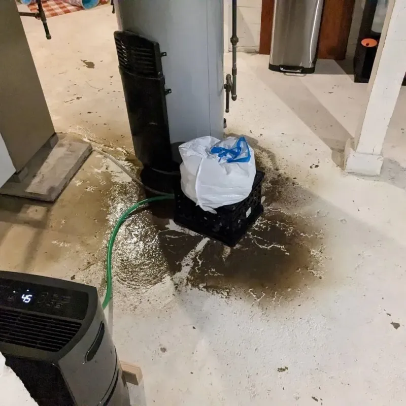 Sewage Backup Cleanup Service in Muskegon Heights, MI